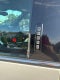 2022 Ford F-350SD King Ranch