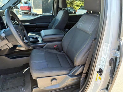 2024 Ford F-150 STX Black Package