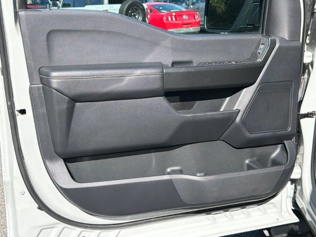 2024 Ford F-150 STX Black Package