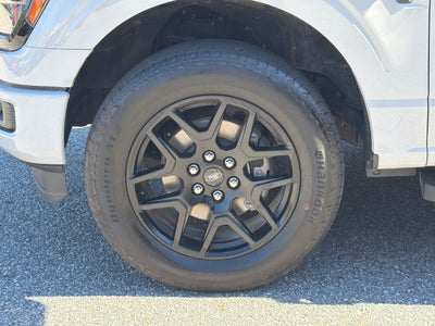 2024 Ford F-150 STX Black Package