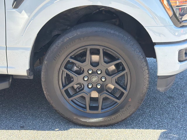 2024 Ford F-150 STX Black Package