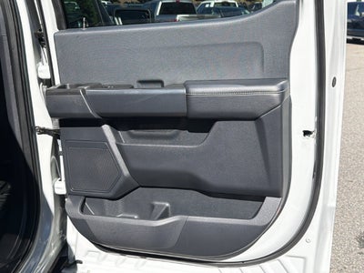 2024 Ford F-150 STX Black Package