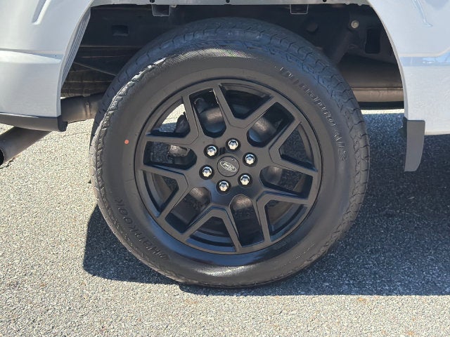 2024 Ford F-150 STX Black Package