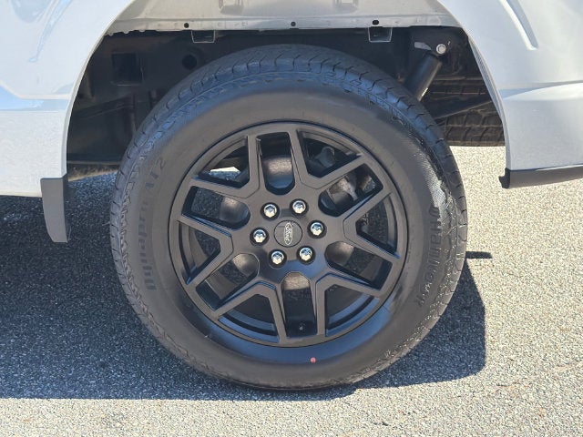 2024 Ford F-150 STX Black Package