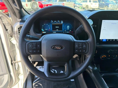 2024 Ford F-150 STX Black Package