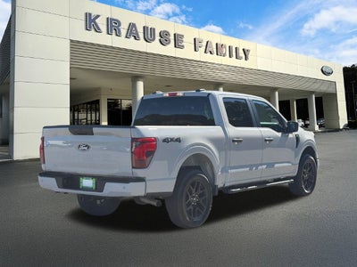 2024 Ford F-150 STX Black Package