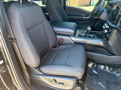 2024 Ford F-150 XLT 302A Black Package