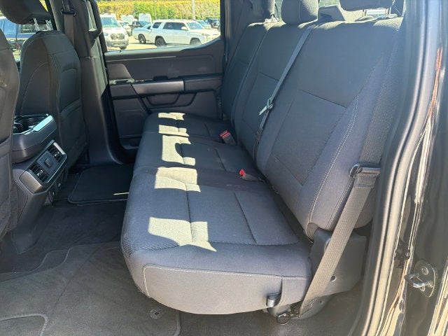 2024 Ford F-150 XLT 302A Black Package