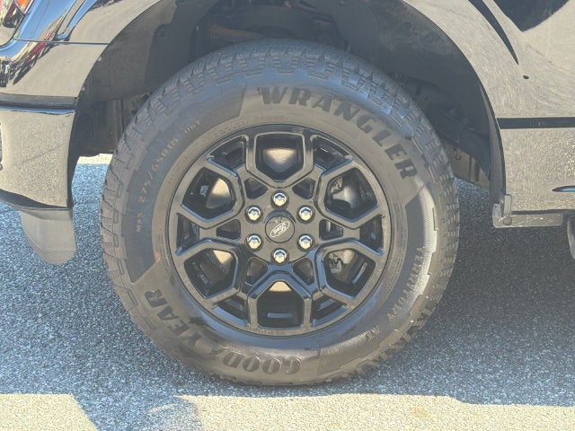 2024 Ford F-150 XLT Black Package