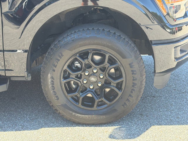 2024 Ford F-150 XLT Black Package