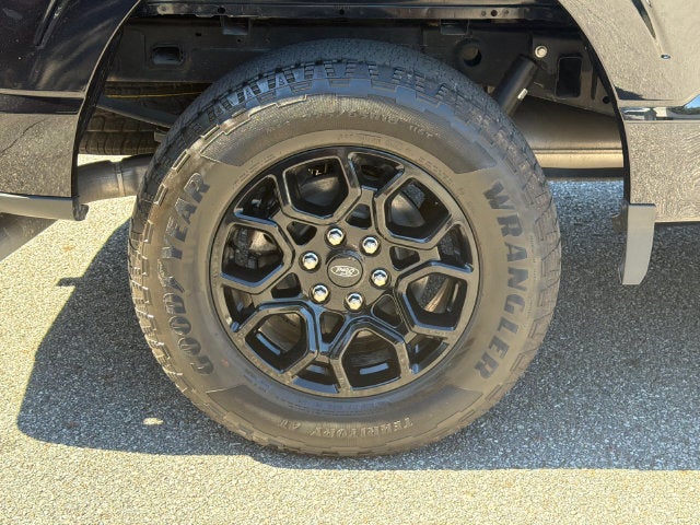 2024 Ford F-150 XLT Black Package