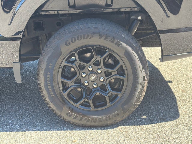 2024 Ford F-150 XLT Black Package