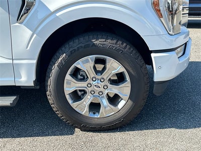 2021 Ford F-150 Platinum